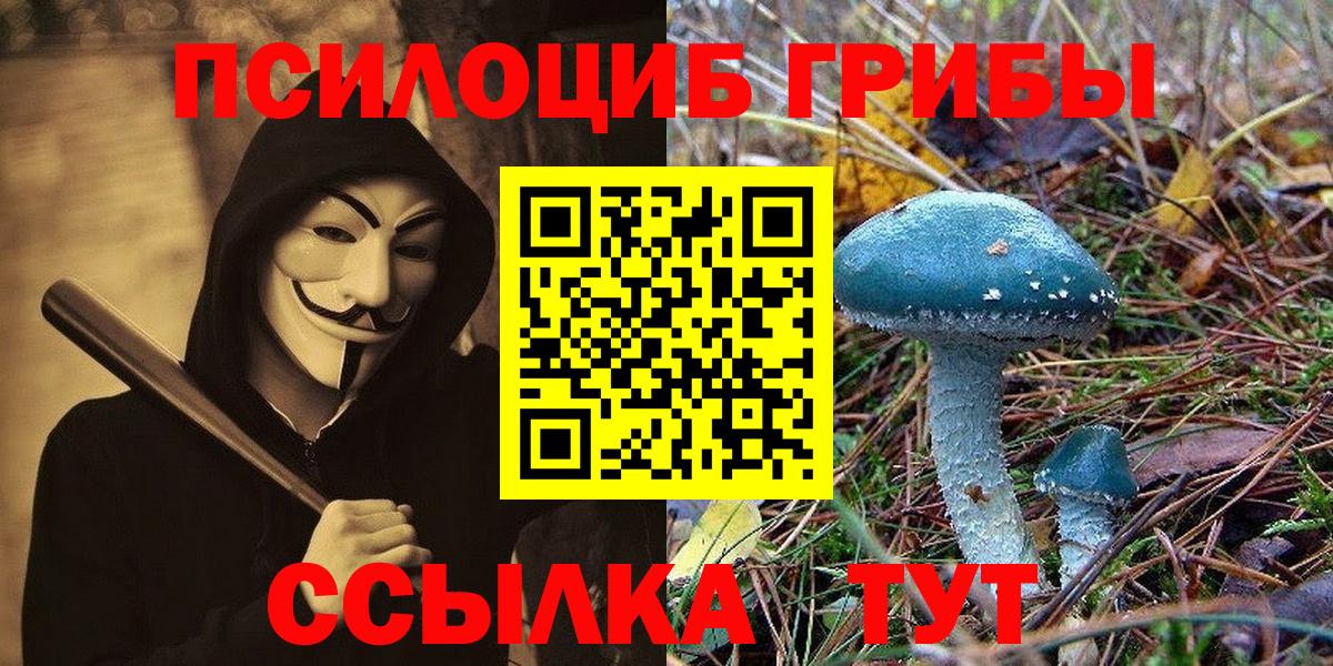 Псилоцибиновые грибы MAGIC MUSHROOMS Тихорецк