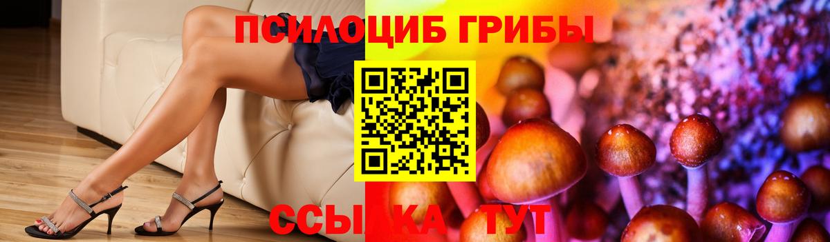 Тихорецк  Галлюциногенные грибы мухоморы  продажа наркотиков  Вход с VPN 